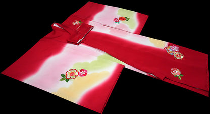 お宮参り 着物 女児祝着 正絹 のしめ 初着 産着 新品j31040